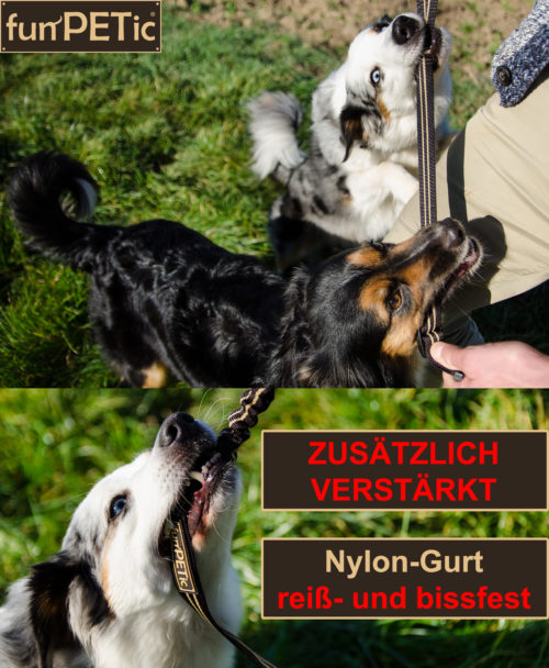 Hundegurt Autogurt mit Adapter Hundesicherheitsgurt