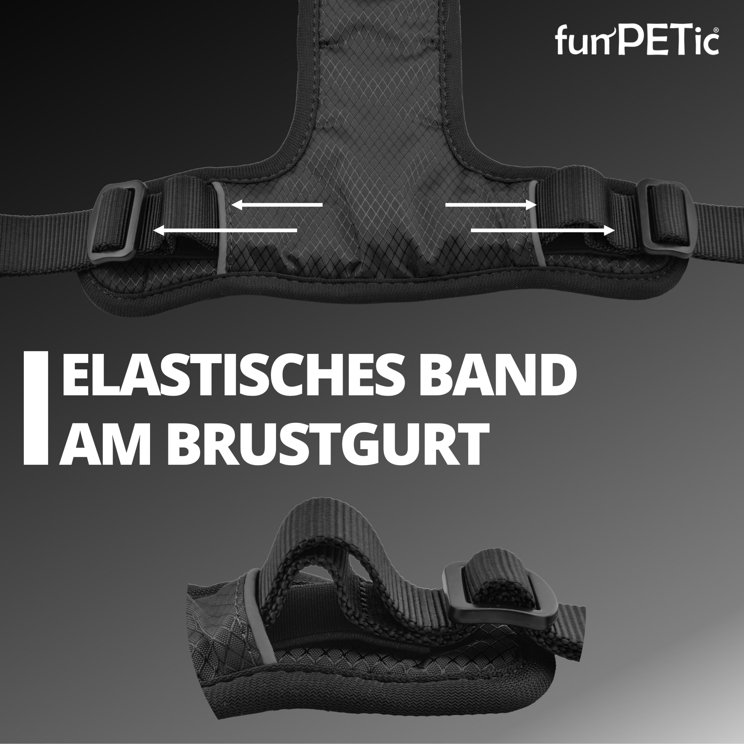funPETic® Hundegeschirr Essential - Schwarz (All Black) – Bild 2