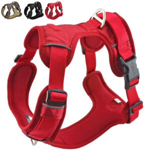 funPETic® Hundegeschirr Essential - Rot (Berry Red)