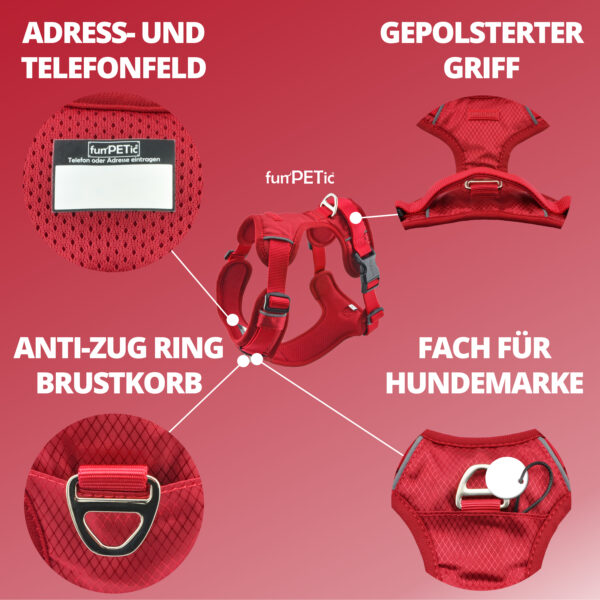 funPETic® Hundegeschirr Essential - Rot (Berry Red) – Bild 4
